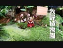 【増刊号】#66 牧野植物園行ったよー！！（完）