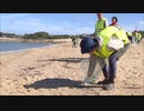 海水浴場でプラスチックゴミの清掃活動　豊かな自然と美しい景観を未来に引き継ごう