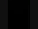 g bg