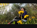 ChiyuriGreen TiyuriGreen @長山 知由理