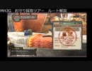 【MH3G】超今更お守り掘りツアー解説【モンスターハンター3G】