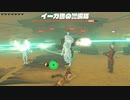 【ティアキン】依頼を受けて、イーガ団の運営費を巻き上げまくってみた【ドリカラ】【ボイスピ実況,ゼルダの伝説ティアーズオブザキングダム,TotK,ゼル伝】