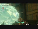 【ティアキン】依頼を受けて、檻にボスボコと氷龍、光線の頭を一緒に詰めてみた【ドリカラ】【ボイスピ実況,ゼルダの伝説ティアーズオブザキングダム,TotK,ゼル伝】