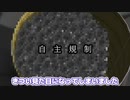 【Kerbal Space Program】じゃがりこロケットにして飛ばそうとした【１０月２３日　じゃがりこの日】