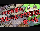 第390位：お腹がすいたらスモールマウスバスを釣ればいいじゃない