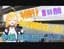 釣り動画ロマンを求めてN 55釣目
