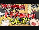 【ゆっくり実況】ゆっくりと眼鏡のマリカー8DX part45【マリオカート８DX】