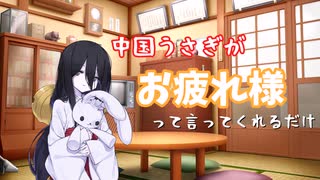 中国うさぎが『お疲れ様』って言ってくれるだけ