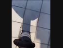 ホモと見る下品な影遊び