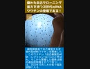 優れた自己クローニング能力を持つ次世代mRNAワクチンの登場である！