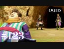 【実況】感情が昂りがちな人間が勇者と冒険する初見プレイ part123【ドラゴンクエスト11S】