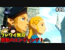 【ゆっくり実況】初めてのブレワイ無双！part81【ゼルダ無双】