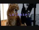 20231023 超電子バイオマンOP　イケボで歌ってみた