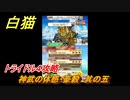 白猫　神武の体感・豪穀　其の五　神なる武器をもとめて　トライドル４編攻略　＃３９　【白猫プロジェクト】