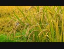 【閲覧注意】刈り入れ