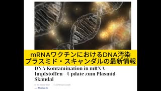 【オーストリア】TKP 記事『mRNAワクチンにおけるDNA汚染-プラスミド・スキャンダルの最新情報』