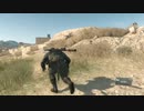 lv343173640_3Mbps_620_623