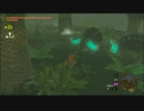 【ゼルダの伝説 ティアーズ オブ ザ キングダム】再びハイラルを救うまで【実況】 part135