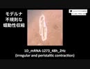 ドイツ論文、衝撃的な動画：ワクチン入りの心臓、異常な収縮。（ラットの心臓）