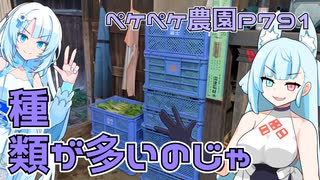 2023年10月23日　農作業日誌P791　葉大根、小松菜、ベカナ、ワサビ菜、青梗菜、カブ、野沢菜といろいろある模様