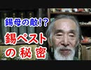 【古銭】すごい種銭の錫母なのに不人気なのはなぜ！？錫ペストに迫れ！！