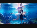 VX-β 「Forever Blue」