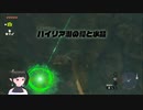 【ゼルダの伝説】周回遅れのティアキン Part74【TotK】