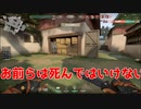 【VALORANT】中にマウスが壊れる。カニ歩きで敵から逃げることしかできずVCに怒られる。
