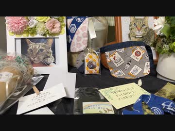 次男坊猫、他界から2週間後に起きたこと