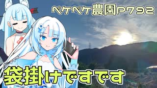 2023年10月24日　農作業日誌P792　出稼ぎに不知火に行き袋かけをしたが半分は送迎していたイメージ