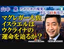 「マクレガー大佐ーイスラエルはウクライナの運命を辿るか？(前半)」山中　泉　AJER2023.10.25(4)