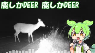 【ずんだもん】鹿しかDEER【オリジナル曲】