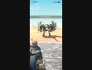 モンスターハンターNOW プケプケ　★5