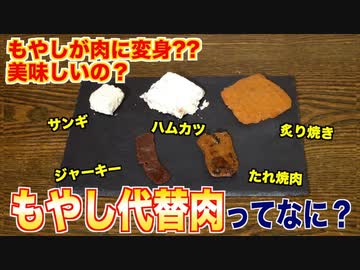 もやし代替肉って美味しいの？ (1)