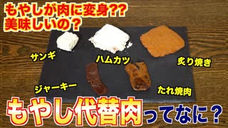 もやし代替肉って美味しいの？ (1)