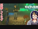【ゼルダの伝説TotK Part50】ササフィネ応援してます　※ネタバレあり　【#ゼルダの伝説/#ゼルダの伝説ティアーズオブザキングダム/#ゲーム実況/#初見実況/#VTuber】