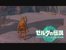 【実況】初心者による伝説実況『ゼルダの伝説#5』