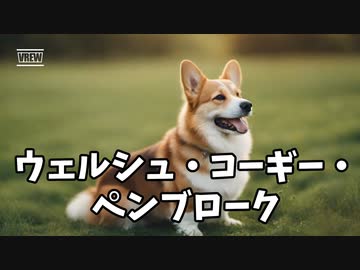 ウェルシュ・コーギー・ペンブロークの魅力！
