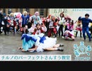 【東大生が】チルノのパーフェクトさんすう教室【踊ってみた】