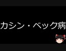 【ゆっくり朗読】ゆっくりさんと不思議な病気 その608