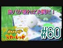 【ポケットモンスター スカーレット】旅パが被ったら決闘だ！4人の宝探し#60【実況プレイ】