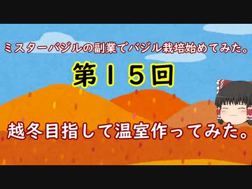 第１５話ミスターバジルの副業でゆっくりバジル栽培始めてみた。