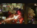 MHR_part105_傀異討究-シャガルマガラ_Lv300