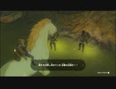 【ゼルダの伝説 ティアーズ オブ ザ キングダム】再びハイラルを救うまで【実況】 part137