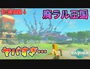 ハイラル全土を廃墟化させるバグがやばすぎる…(ver1.1.2以下)【ティアキン TotK】裏技 バグ 検証 ゆっくり実況 glitch