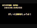 紅子の宇宙船 －音声版－ 2023年10月25日