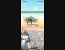 モンスターハンターNOW プケプケ　★5
