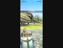 モンスターハンターNOW リオレイア　★5