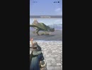 モンスターハンターNOW プケプケ　★4