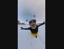 ホモと見る360度蜂おじさん